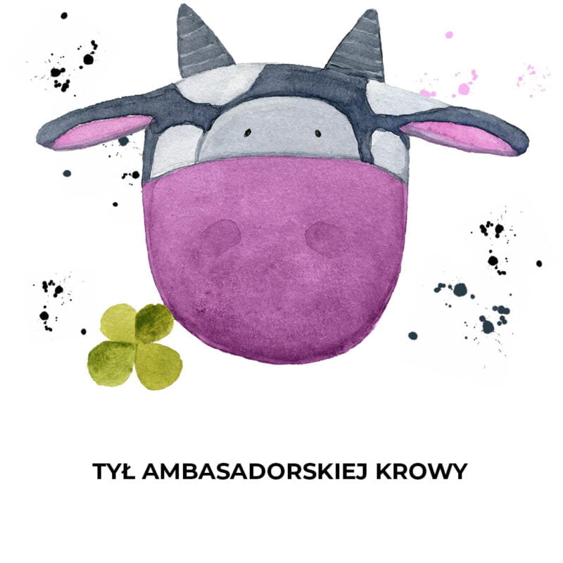 MUUkreacje moda damska, odzież szyta na wymiar z kolorowych autorskich printów