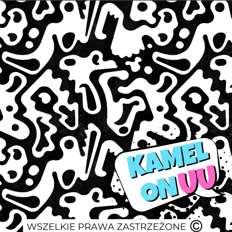 MUUkreacje moda damska, odzież szyta na wymiar z kolorowych autorskich printów