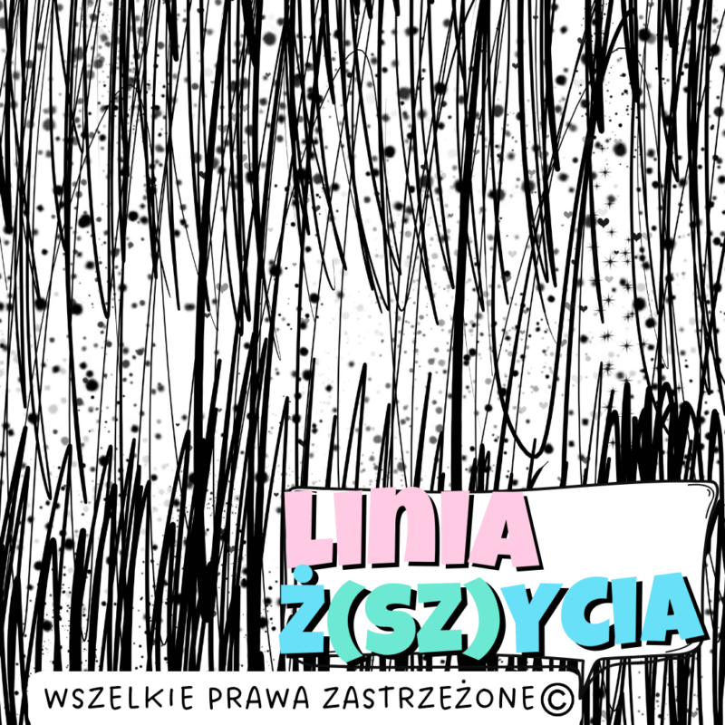 MUUkreacje moda damska, odzież szyta na wymiar z kolorowych autorskich printów